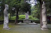 tkf005_2309796