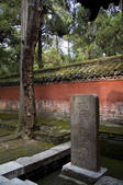 tkf005_2309803