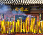 tkf005_2309906
