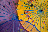 tkf005_2310377