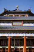 tkf005_2311269