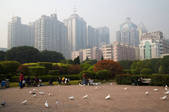 tkf005_2311574