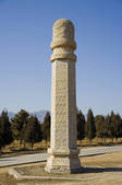 tkf005_2312208