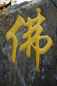 tkf005_2314226