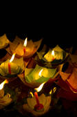 tkf005_2314421