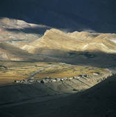 tkf005_2315948