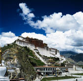 tkf005_2316268
