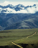 tkf005_2316498