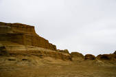 tkf005_2318630