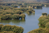 tkf005_2319262