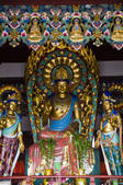 tkf005_2320220