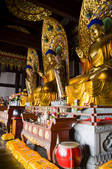 tkf005_2320224