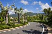 tkf005_2320610