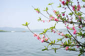 tkf005_2322762