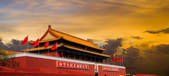 tkf005_2324650