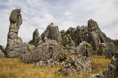 tkf005_2337247