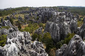 tkf005_2337249