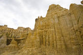 tkf005_2337451