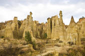 tkf005_2337453