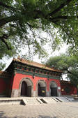 tkf005_2340835