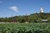 tkf005_2349081