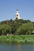 tkf005_2349082