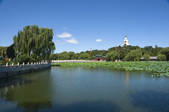 tkf005_2349083
