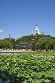 tkf005_2349084