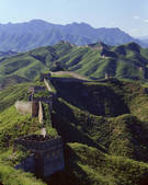 tkf005_2350346