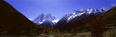 tkf005_2350384