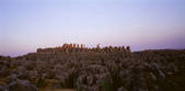 tkf005_2350609