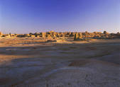 tkf005_2350670
