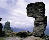 tkf005_2350686