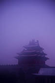 tkf005_2356781
