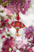 tkf005_2367049