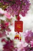 tkf005_2367050