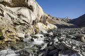 tkf005_2386468