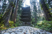 tkf005_302133