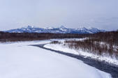tkf005_302385