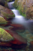 tkf005_302847