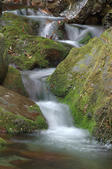 tkf005_302848