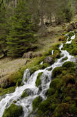 tkf005_302859