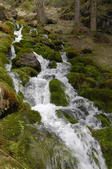 tkf005_302860
