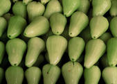 tkm005_105185