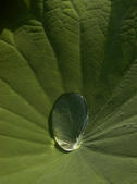 tkm005_106083